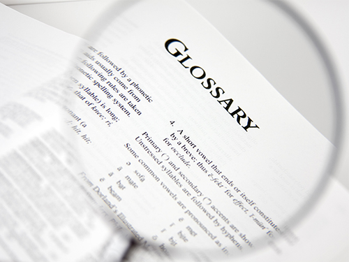 Glossary of Terms